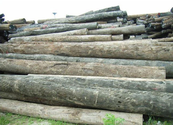 木材知识——孪叶苏木百科知识