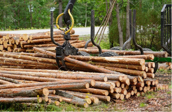 未来一年，木材供应挑战将持续存在