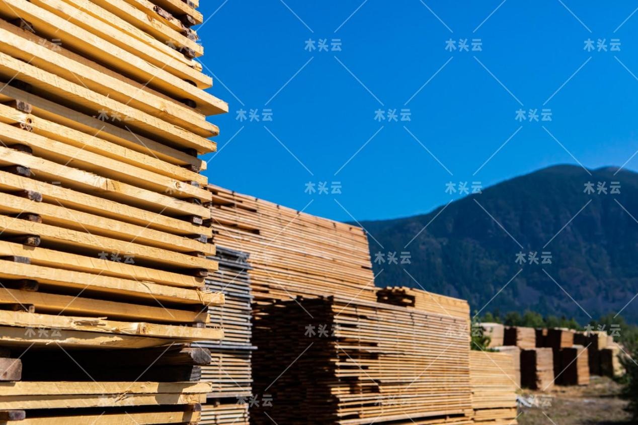 德国：预计未来几月木材原料供应和价格不会出现显着缓解