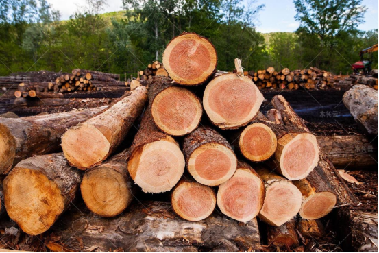 限制俄罗斯木材真的对美国没有影响吗？