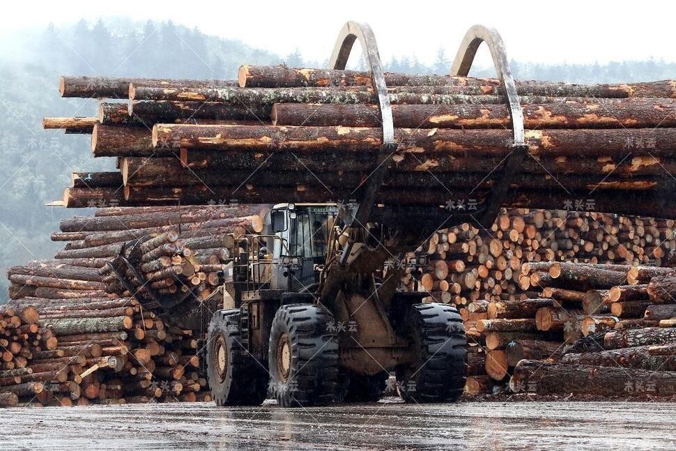 英国建筑商宣布不再购买“冲突木材”