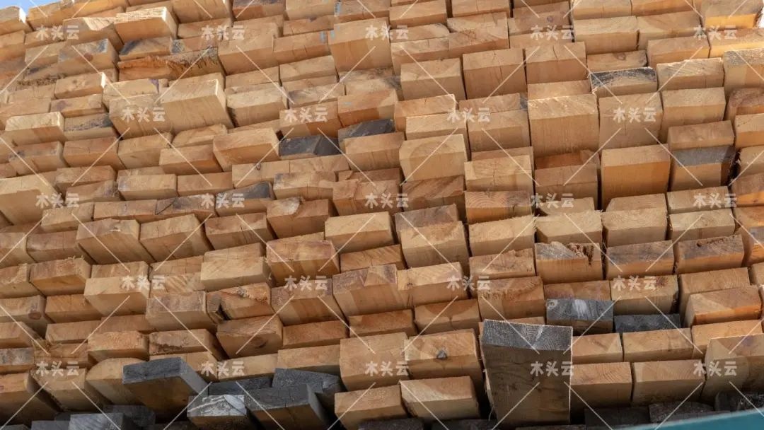 木材价格高涨的的四大因素