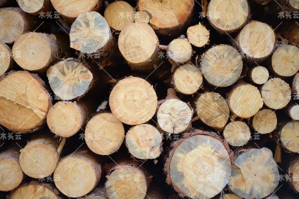 国内木材供应压力上涨