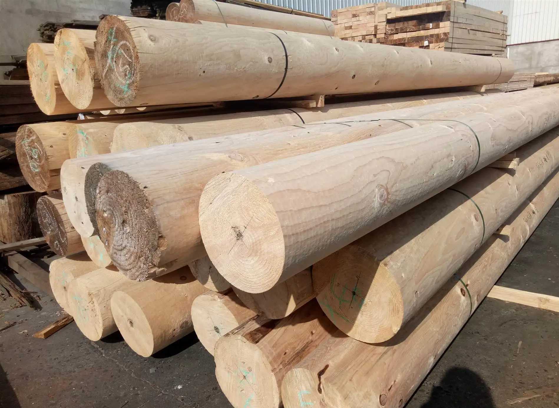 木材知识——铁杉百科知识