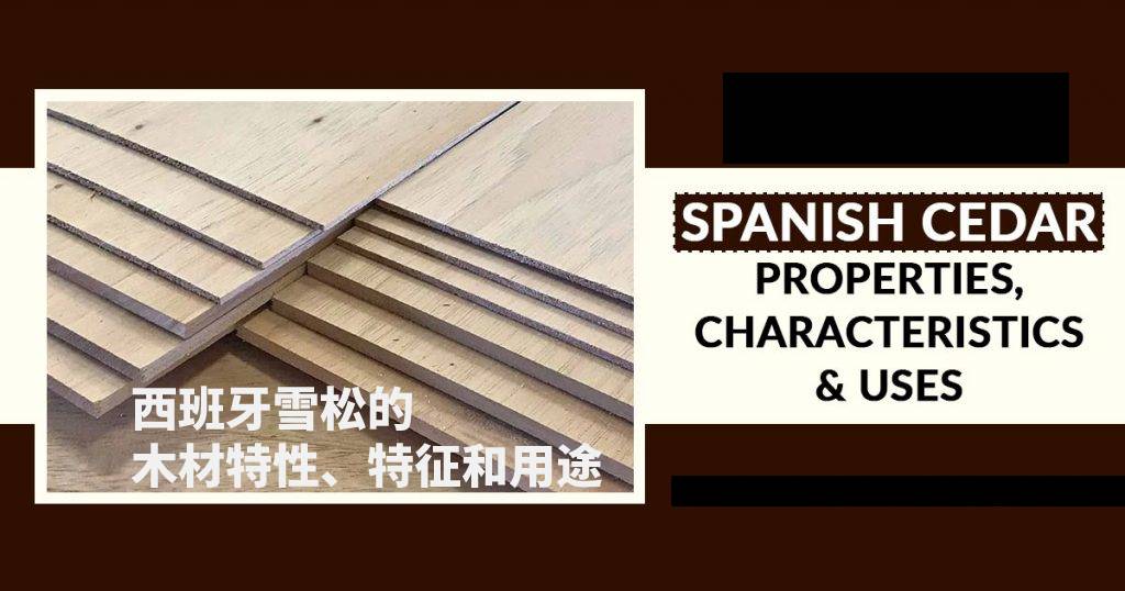 西班牙雪松的木材特性、特征和用途