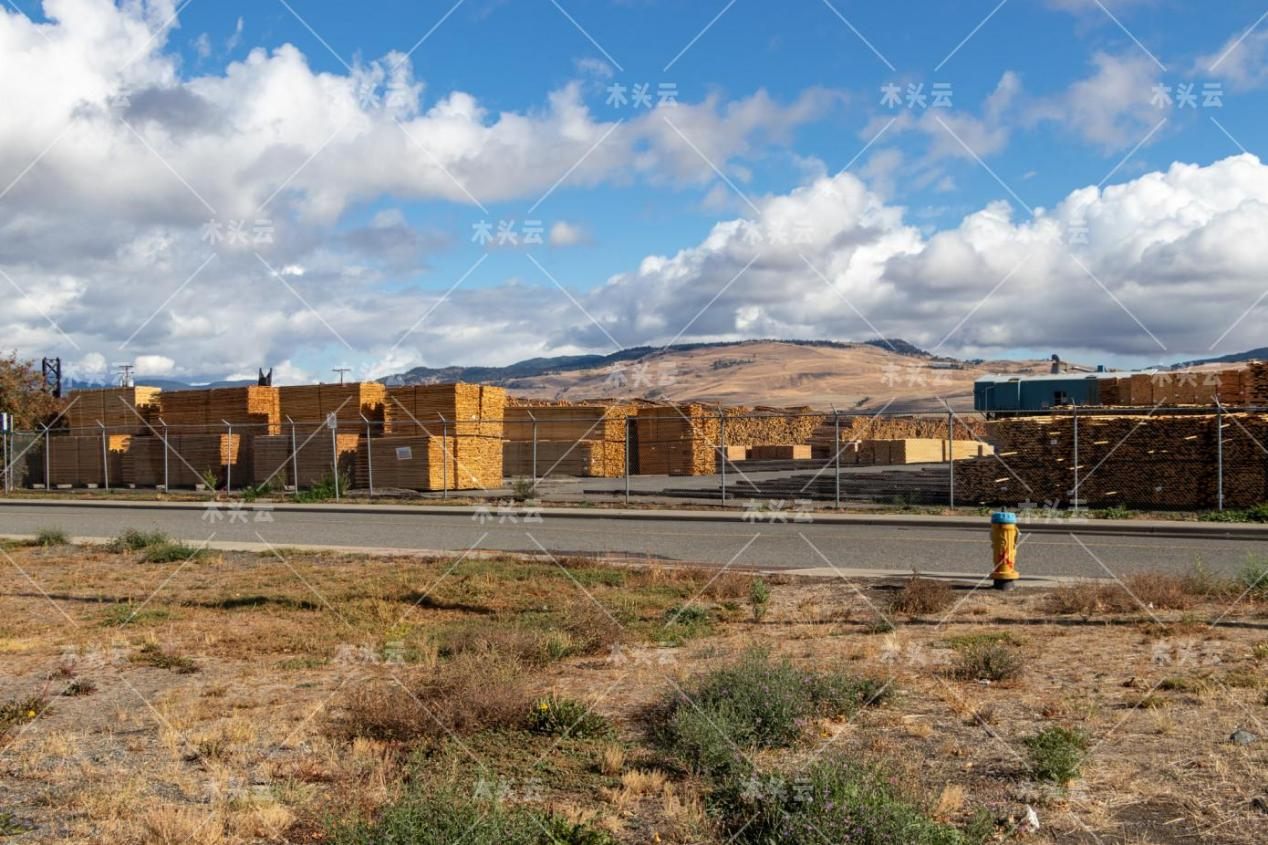 俄罗斯将对亚洲木材出口进行税收减免