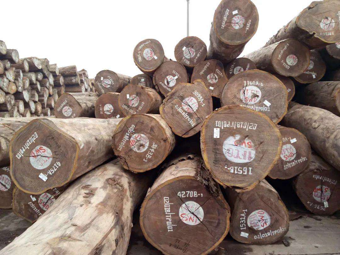 木材知识——美木豆百科知识