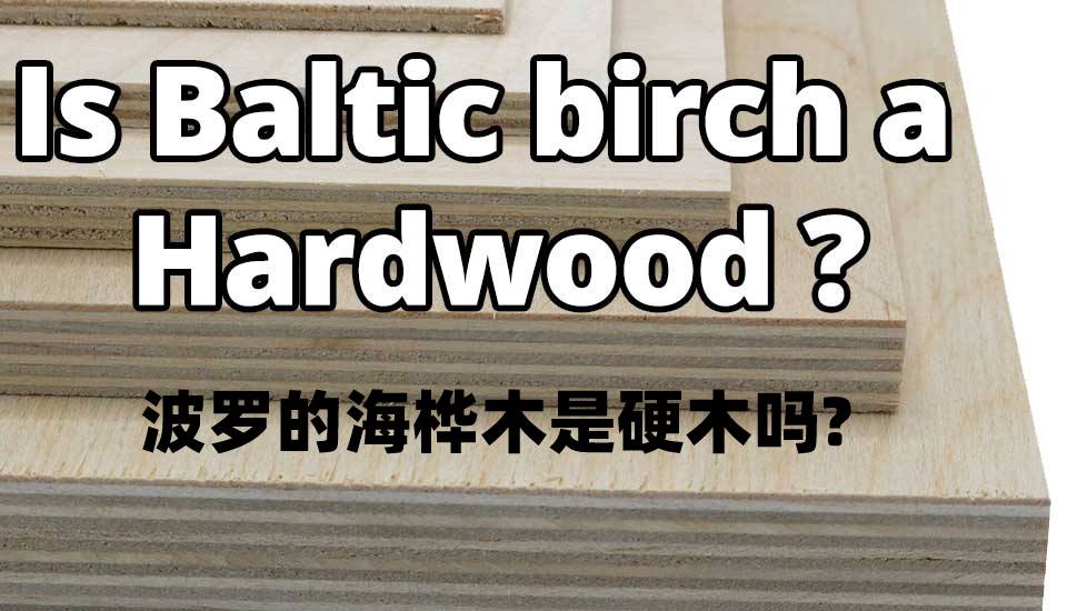 波罗的海桦木是硬木吗?