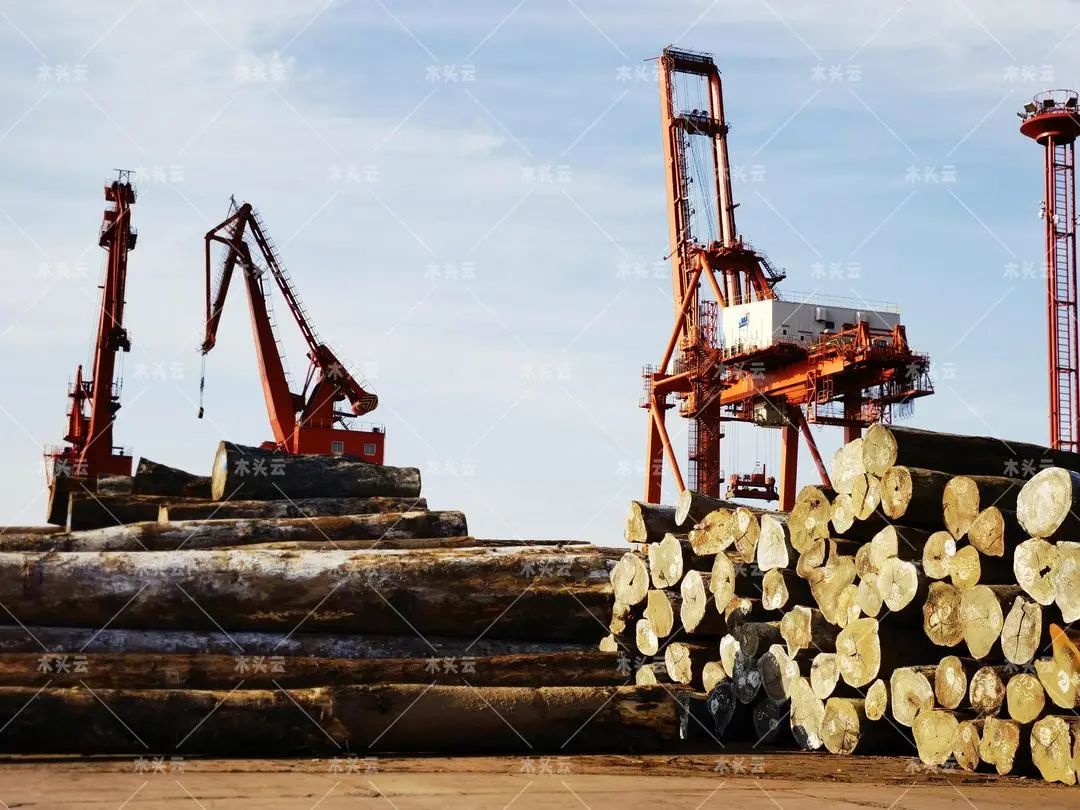 预计新西兰对我国木材市场供应将下降40%
