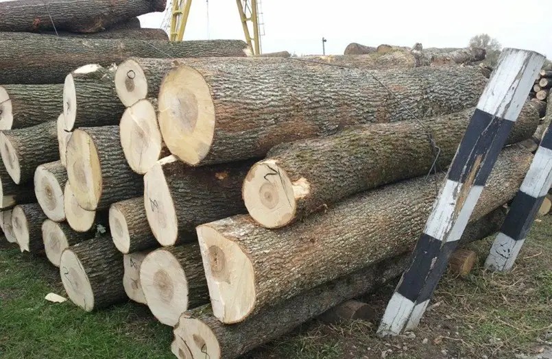 木材知识——秋枫百科知识