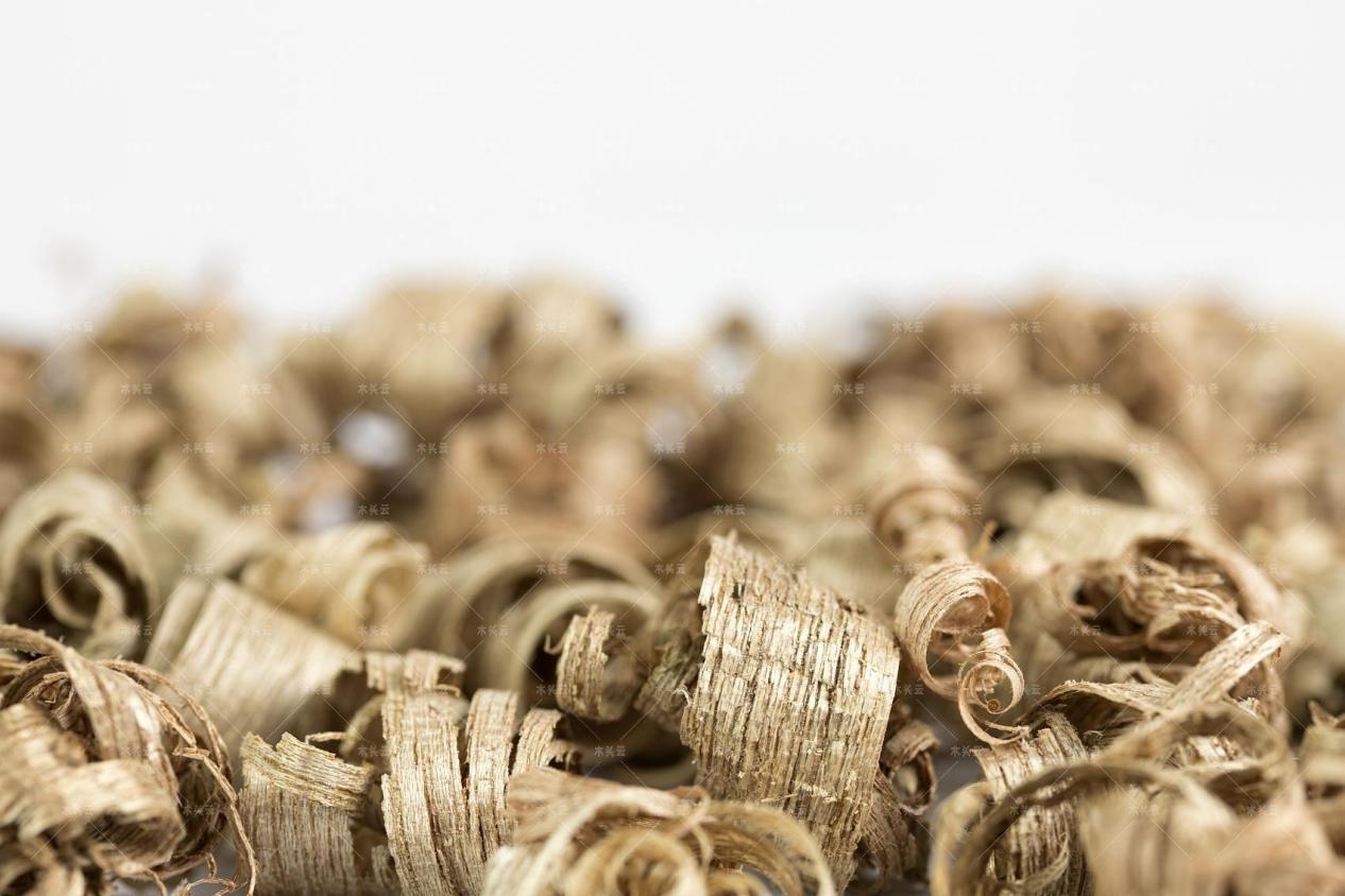 最新国际木材出口政策变动