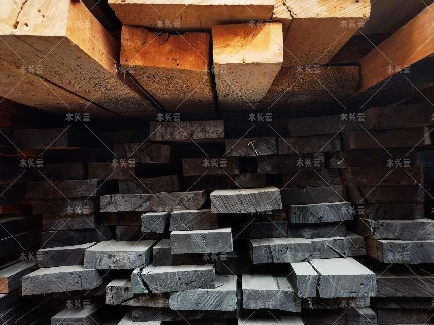 最新国际木材出口政策变动