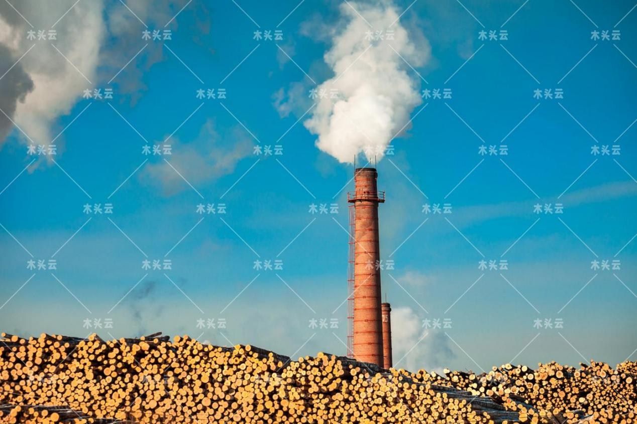 飙升的柴油价格威胁到整个木材市场供应链