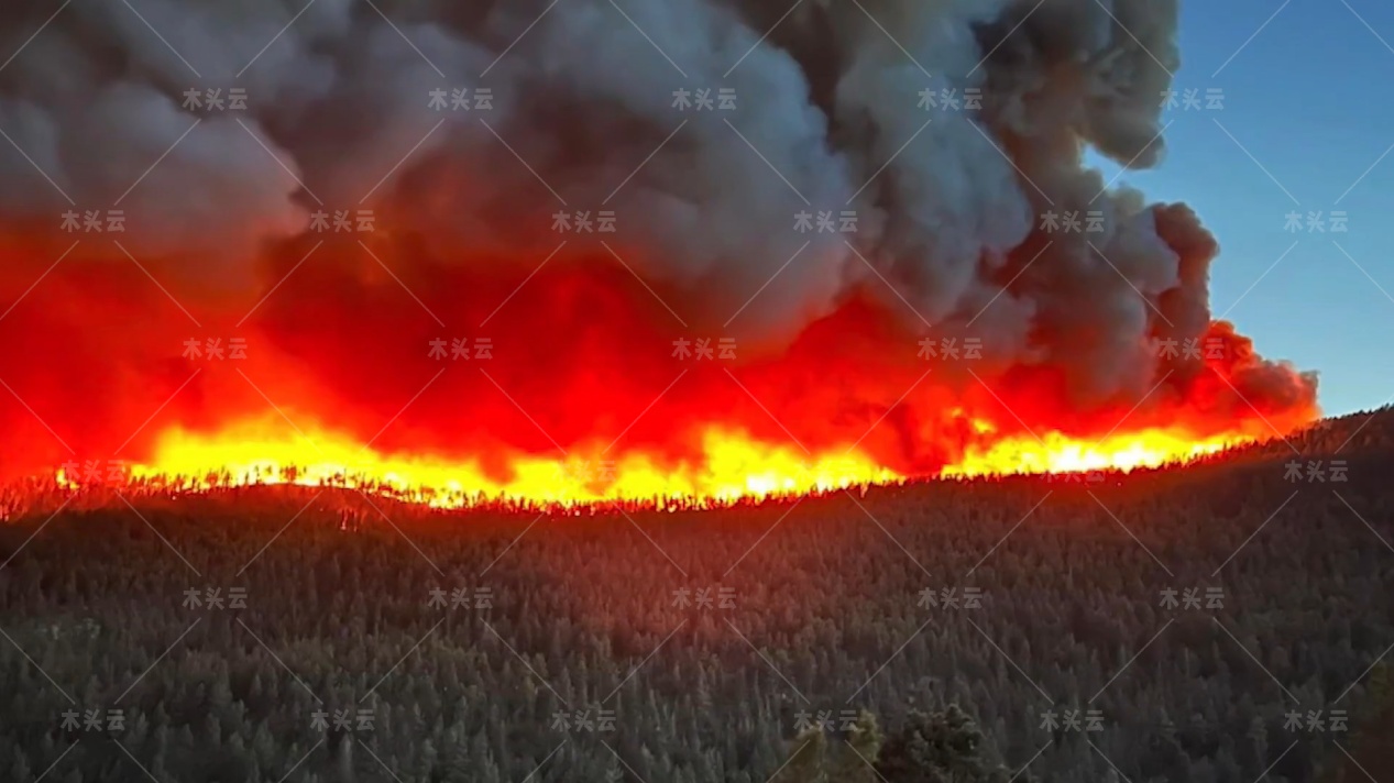 美国州史上最大山火竟是自己林务局放的