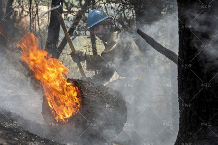 美国州史上最大山火竟是自己林务局放的