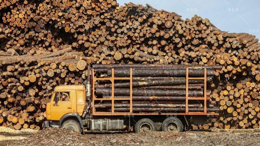 非洲材进口再受冲击！刚果盆地原木出口禁令推上日程