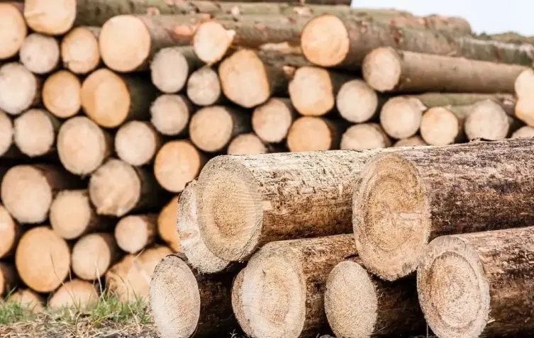 木头防腐有哪些处理方式?