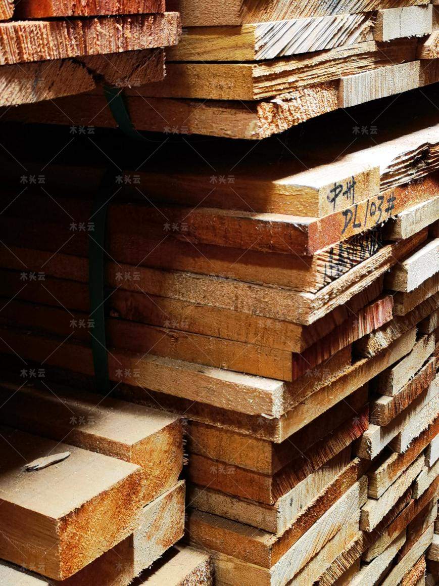 木材市场供应短缺，国内胶合板、纸浆出口价值飙升