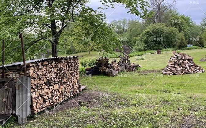 森林资源丰富的欧洲国家更容易度过能源危机吗？