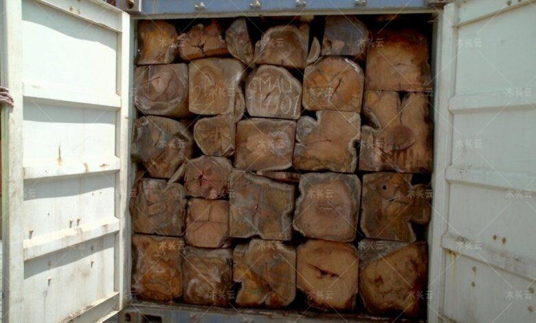 冈比亚：7月1日起禁止所有木材出口