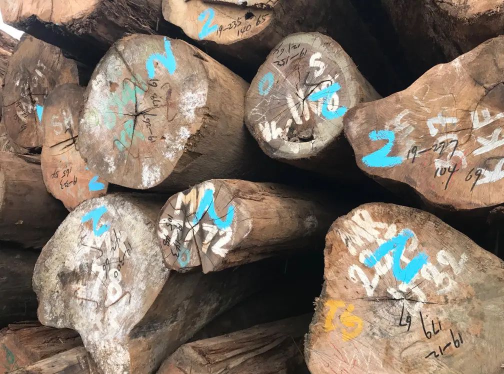 木材知识——鞭茜草木百科知识