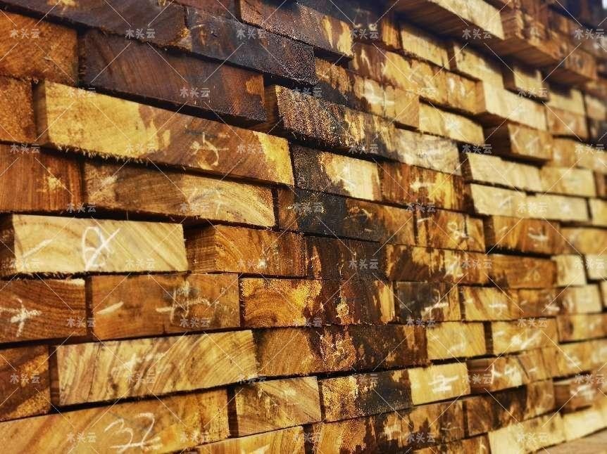 全球目光转向非洲至6月木材价格大涨