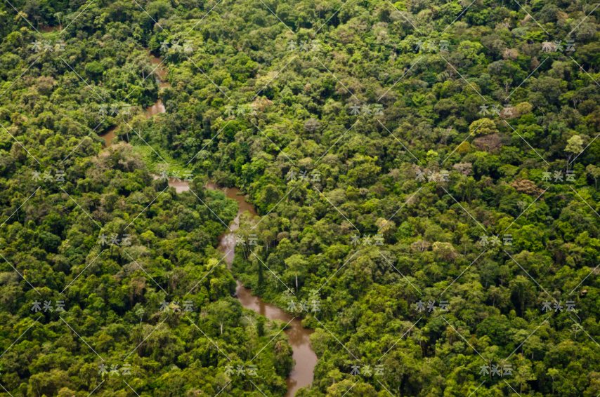 南美热带材库存告急!