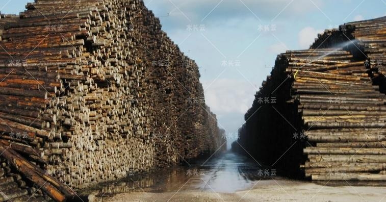 南美热带材库存告急!