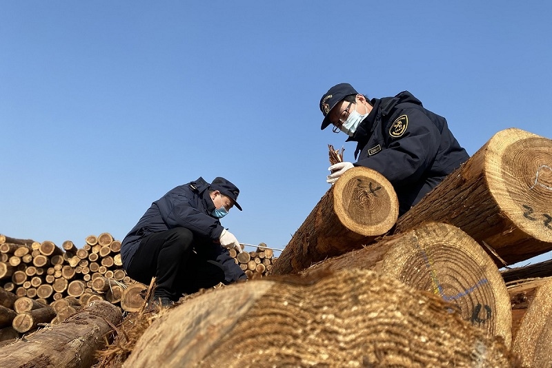 中国海关：进口原木不必再进行核酸检测