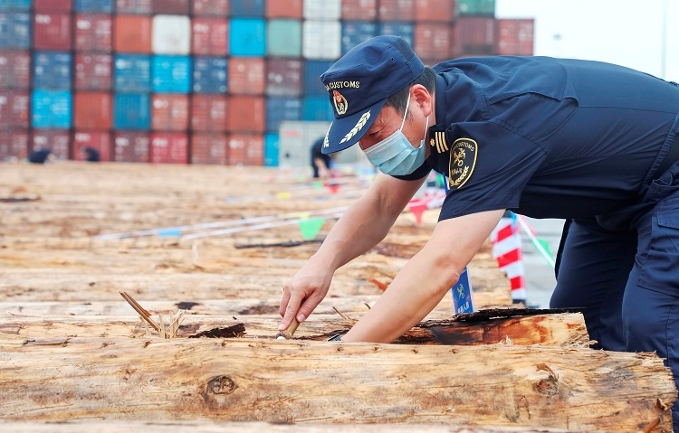 巴西规定：未经处理的木材禁止携带入境