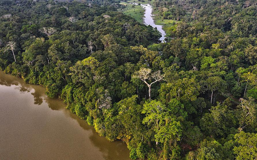 中非：刚果盆地面临严重森林砍伐