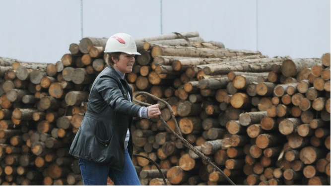 “制裁”让半数日本公司遇木材采购困难