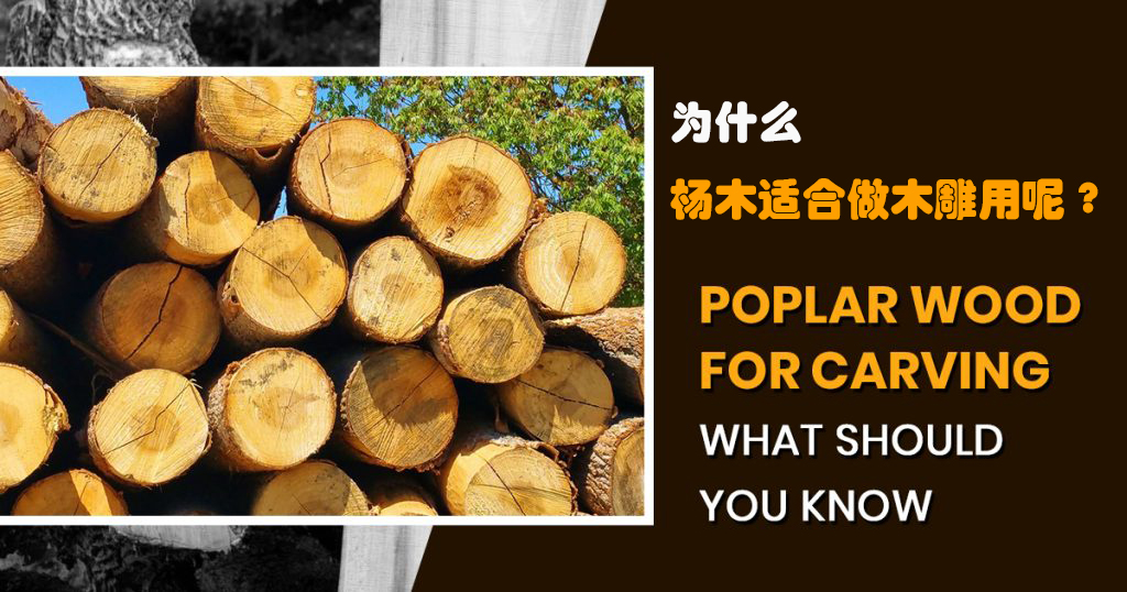 为什么杨木适合做木雕用呢?