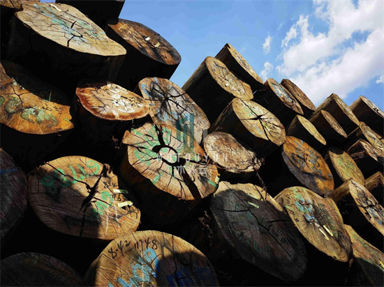 2022年全球木材出口国形势分析