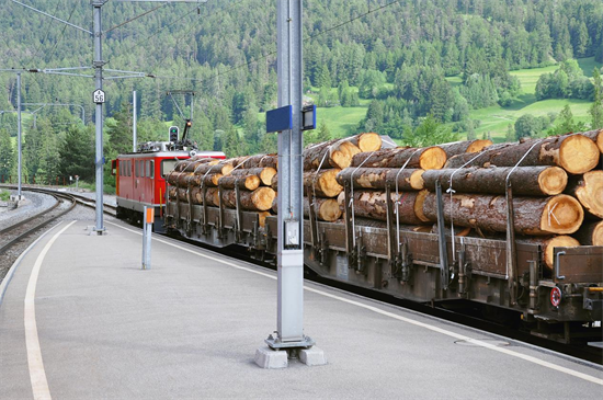 南美洲林产品出口活跃，七月逆势暴涨4239%!