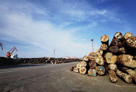 全球硬木贸易将会在今年创造纪录