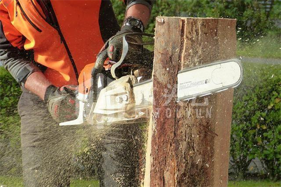 匈牙利：为应对能源危机，将放宽木材砍伐