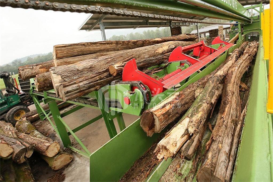 匈牙利：为应对能源危机，将放宽木材砍伐