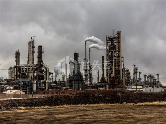 匈牙利：为应对能源危机，将放宽木材砍伐