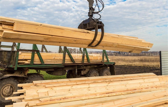 2022年上半年俄罗斯木材行业现状