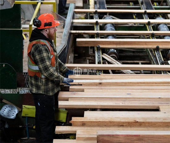 吉尔吉斯斯坦对木材出口实施临时限制