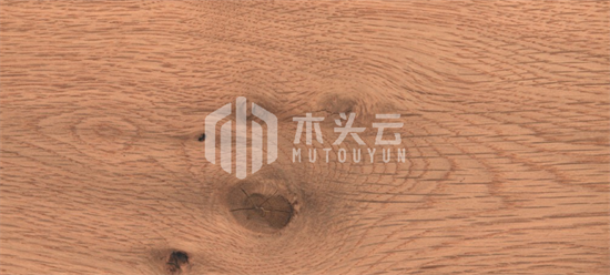 欧洲退居二线，美国成我国最大橡木进口国