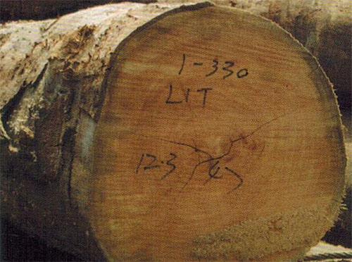 木材知识——木姜子百科知识