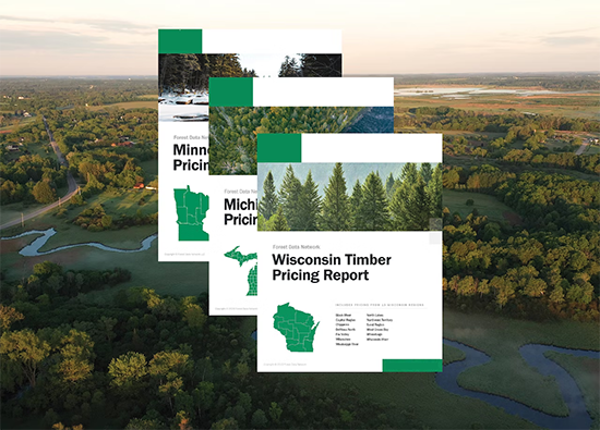 松树价格在2022年中显示出历史性强势