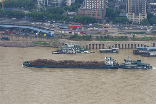 木材出口物流成为“木材原料和木工产品市场”会议重点议题