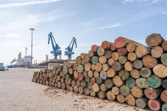8月英国软木市场依然低迷，供应远远超过需求