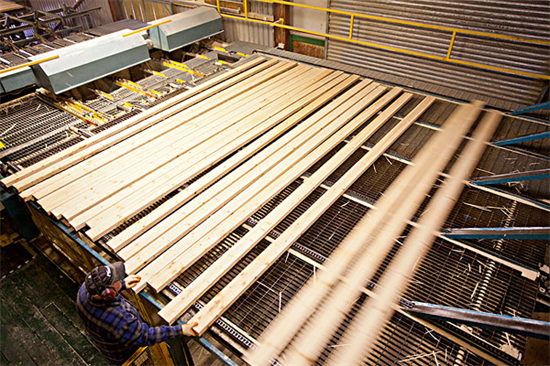 硬木供应量减少，澳大利亚面临多重危机