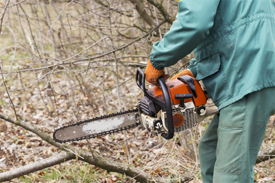 硬木供应量减少，澳大利亚面临多重危机