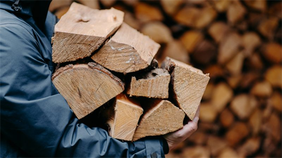 能源危机推动木材价格上涨，欧洲最冷的冬天要来了吗?