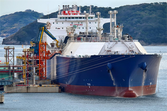 木材贸易受高能源成本的影响